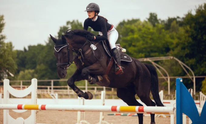 Why Proper Medical Cover for Equestrian Events is a Must